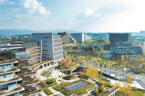 點(diǎn)亮 下線 通航 成都高質(zhì)量發(fā)展按下 快進(jìn)鍵