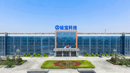 【新理事】成都硅寶科技股份董事長(zhǎng)王有治